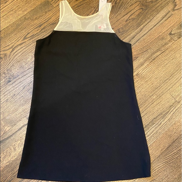 Parker New Silk Pipsy Sheer Black and White Shift Dress Size Medium - Picture 7 of 12